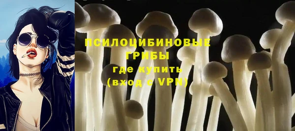 винт Алексин