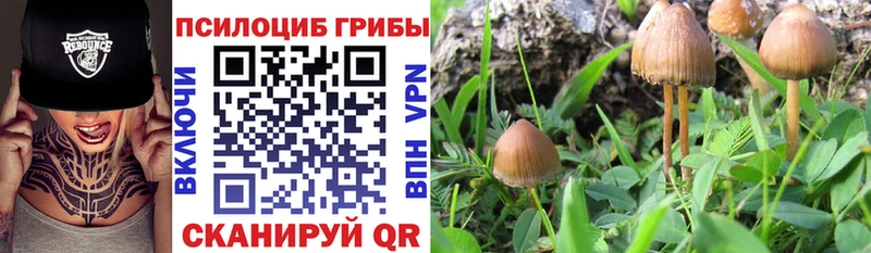 Галлюциногенные грибы мухоморы  Байкальск 